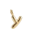 Y
